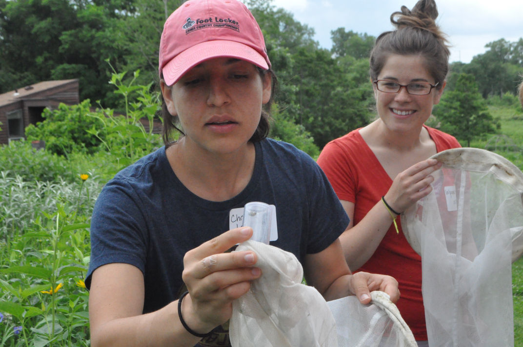 University of Wisconsin-Madison postdoctoral researcher Christina Locke